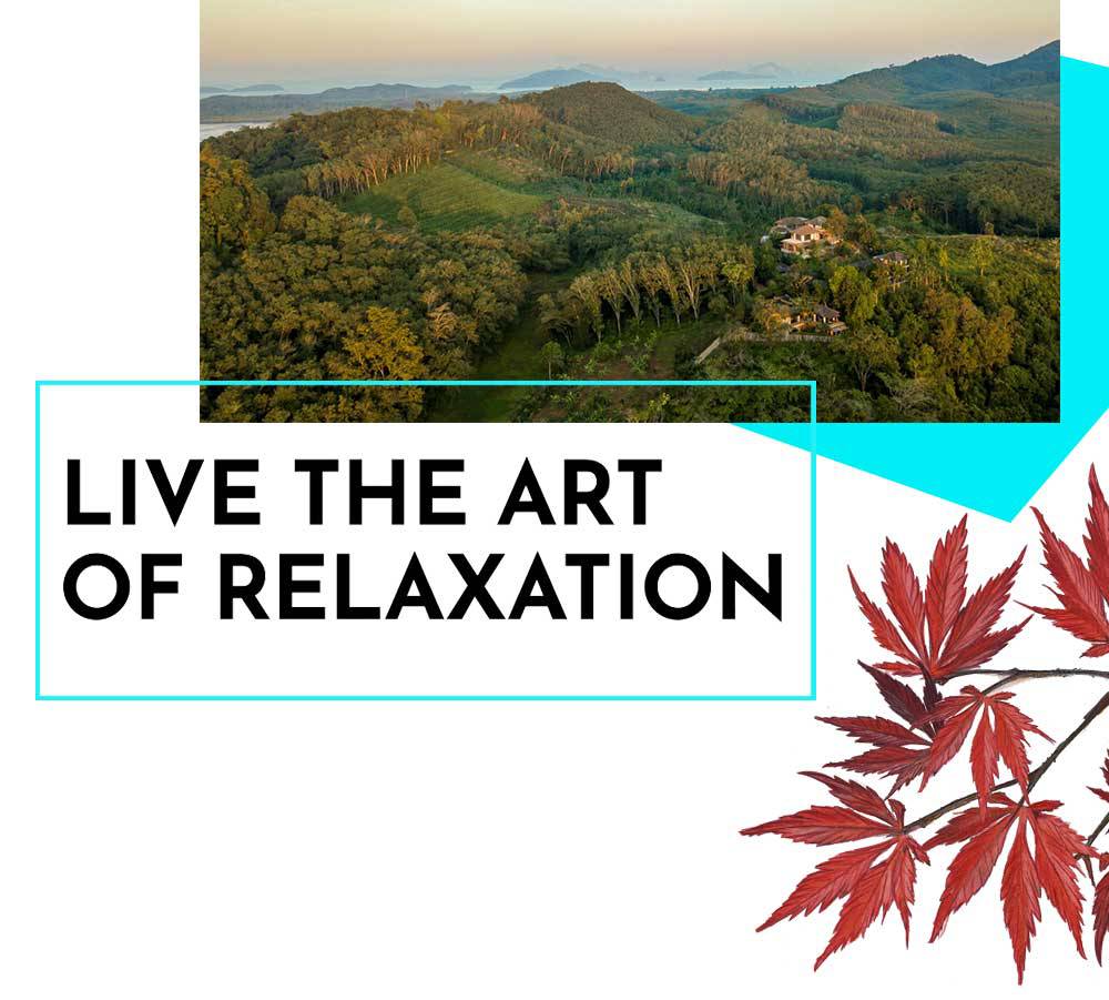 Art_Of_Relaxation_mobile