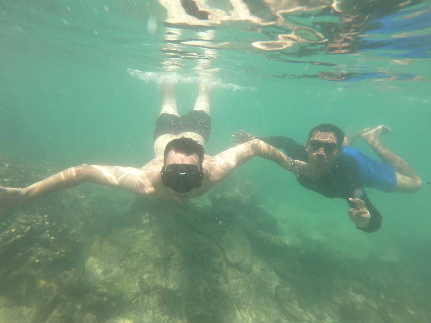 DIVING AND SNORKELING