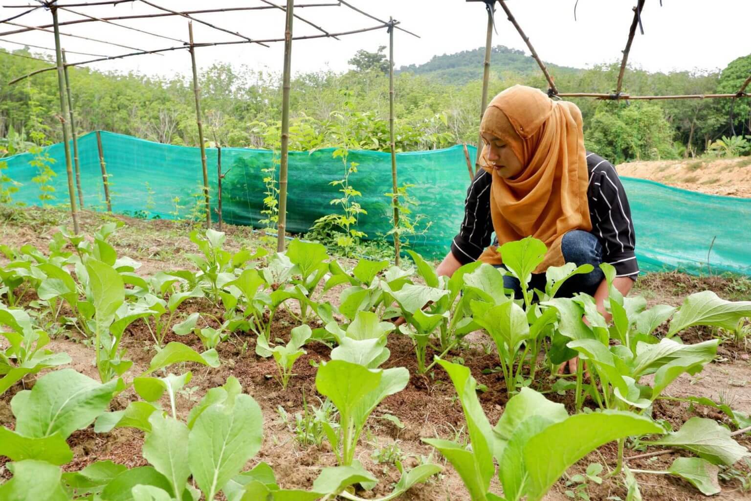 eco gardening