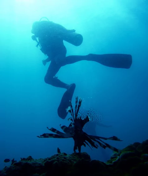 YAO NOI DIVING