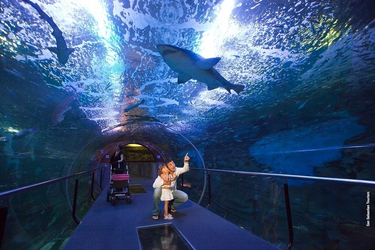 SAMSAM aquarium