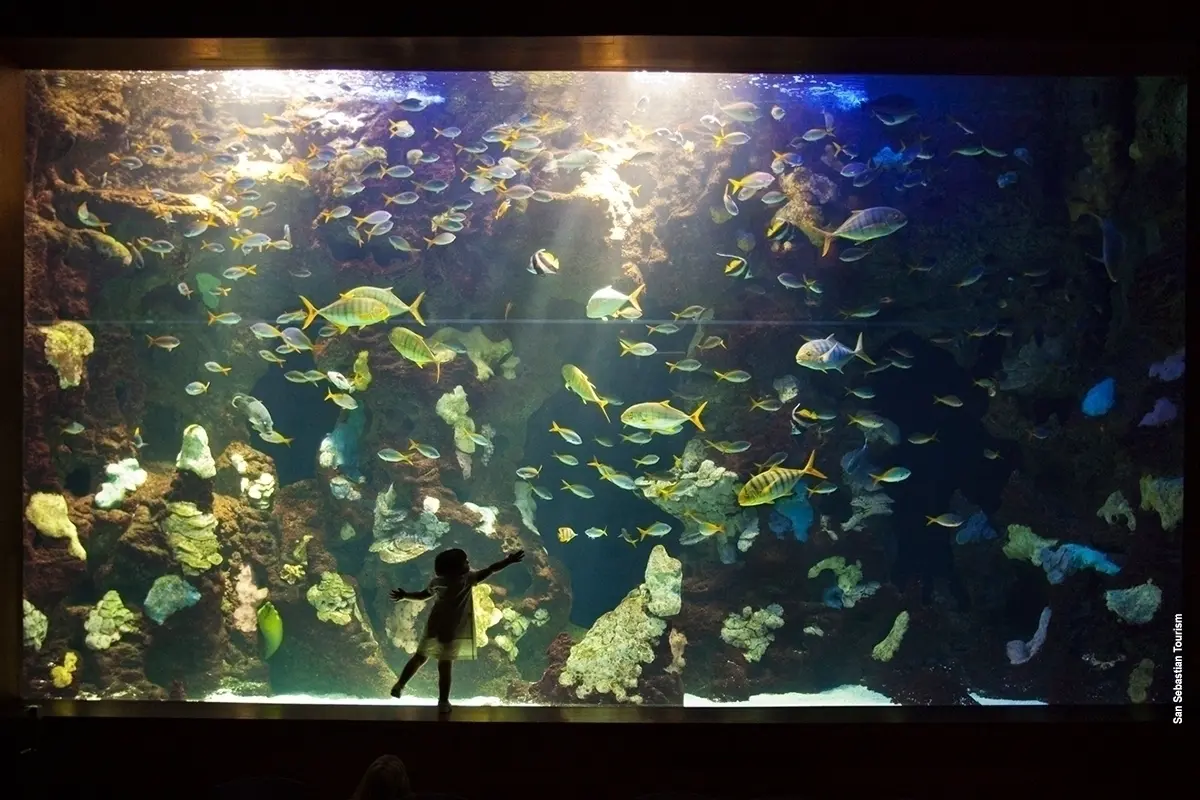 SAMSAM aquarium