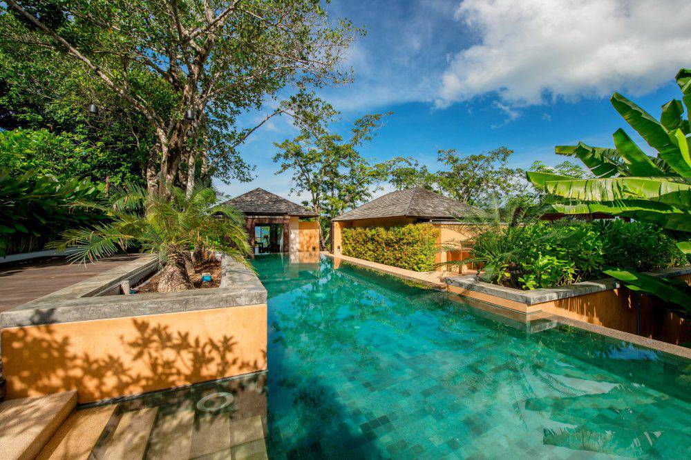 villa treetop pool