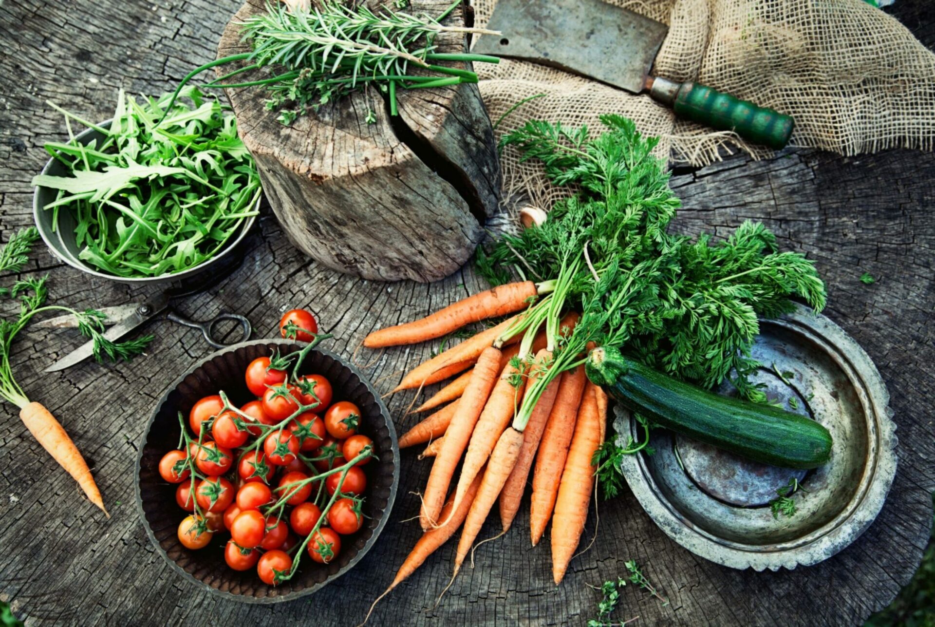 from food jungle to table