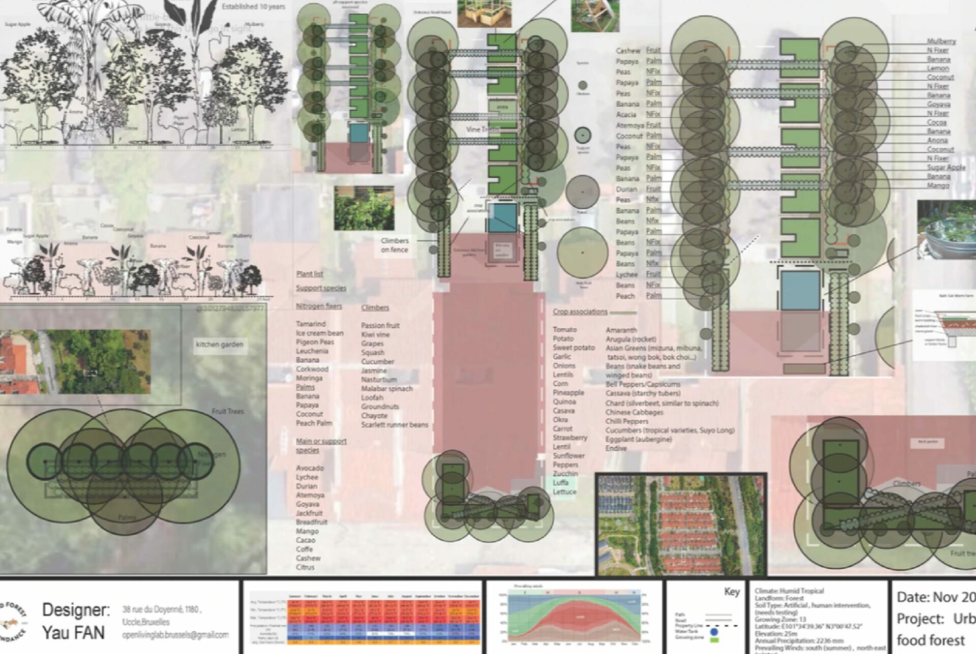 from food jungle to table