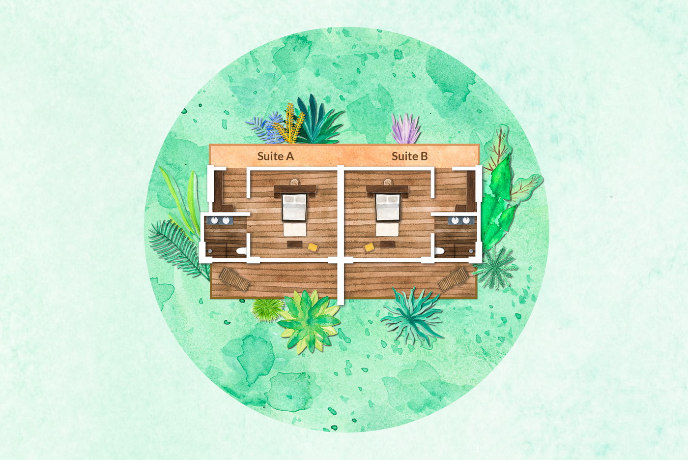 dojo suite