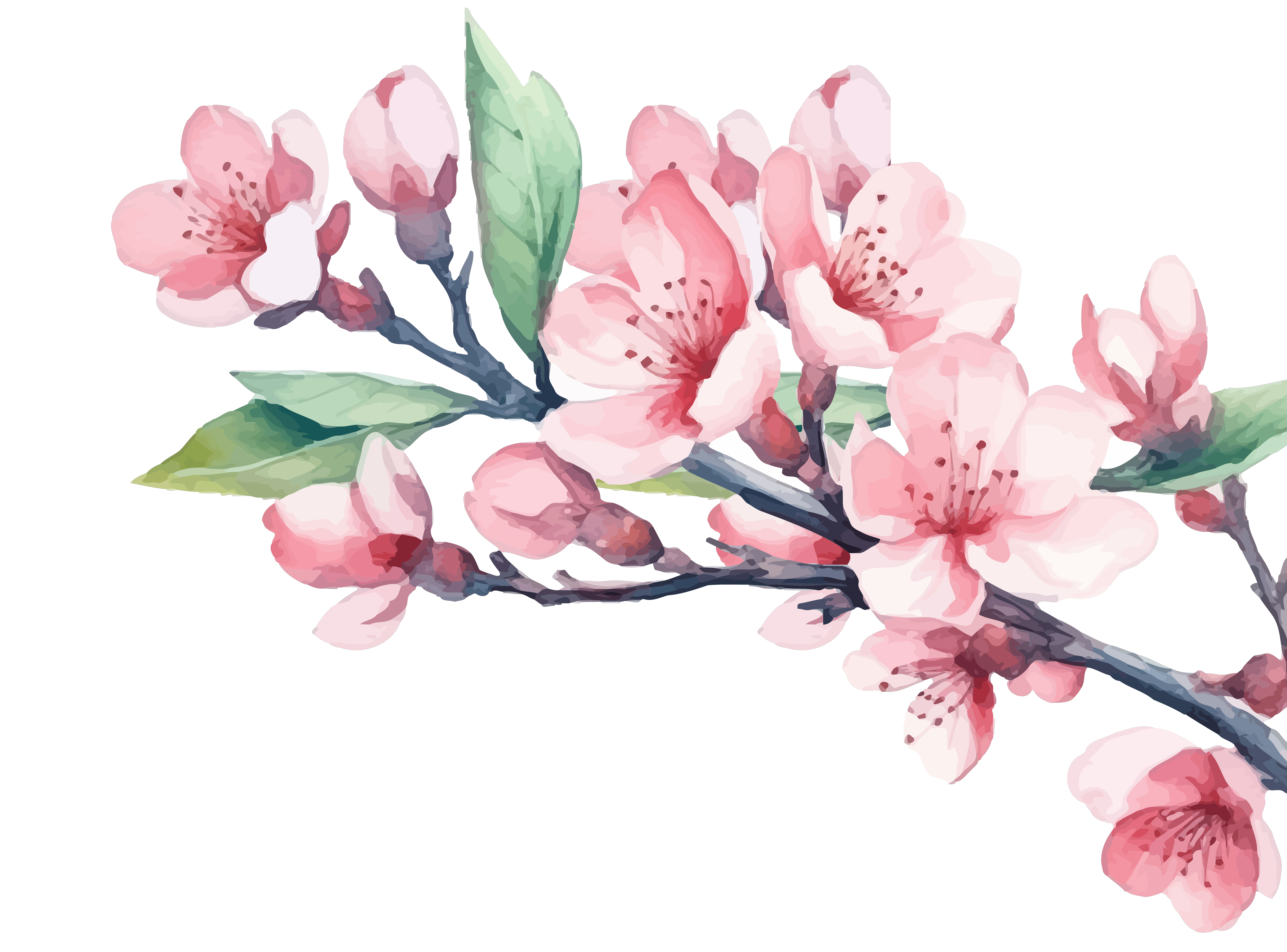 spring bloom